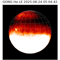 gong - 2025-08-24T05:04:42