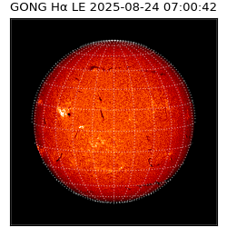 gong - 2025-08-24T07:00:42
