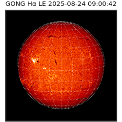 gong - 2025-08-24T09:00:42