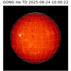 gong - 2025-08-24T10:00:22