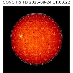 gong - 2025-08-24T11:00:22