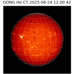 gong - 2025-08-24T12:00:42