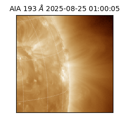 saia - 2025-08-25T01:00:05.232000