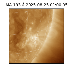 saia - 2025-08-25T01:00:05.232000