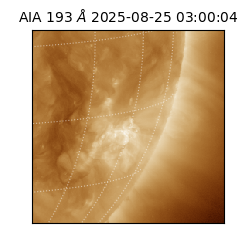 saia - 2025-08-25T03:00:04.843000