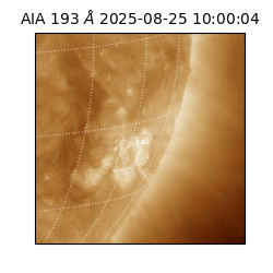 saia - 2025-08-25T10:00:04.844000