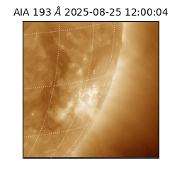 saia - 2025-08-25T12:00:04.843000