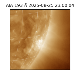 saia - 2025-08-25T23:00:04.843000