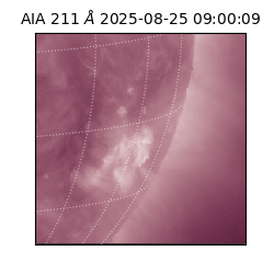 saia - 2025-08-25T09:00:09.630000
