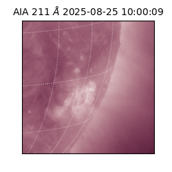 saia - 2025-08-25T10:00:09.626000