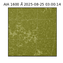 saia - 2025-08-25T03:00:14.126000