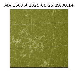 saia - 2025-08-25T19:00:14.126000