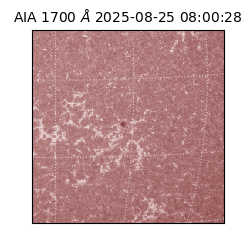 saia - 2025-08-25T08:00:28.719000