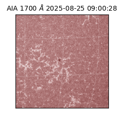 saia - 2025-08-25T09:00:28.717000