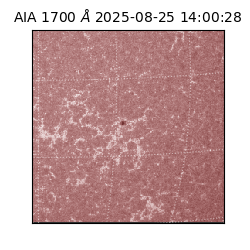 saia - 2025-08-25T14:00:28.717000