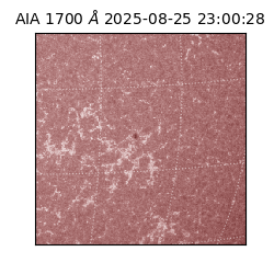 saia - 2025-08-25T23:00:28.720000