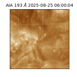 saia - 2025-08-25T06:00:04.843000