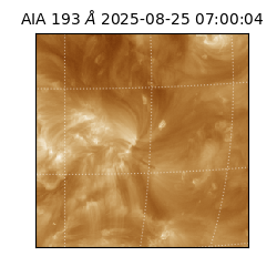 saia - 2025-08-25T07:00:04.843000