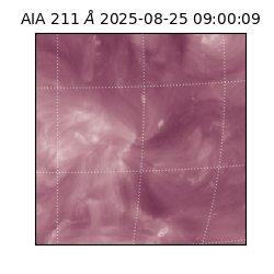 saia - 2025-08-25T09:00:09.630000