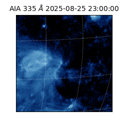 saia - 2025-08-25T23:00:00.632000