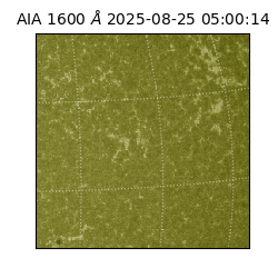 saia - 2025-08-25T05:00:14.126000