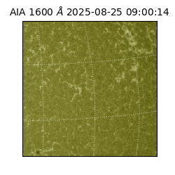 saia - 2025-08-25T09:00:14.126000