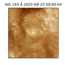 saia - 2025-08-25T09:00:04.846000