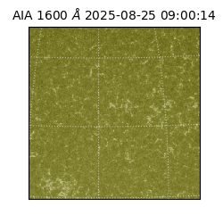 saia - 2025-08-25T09:00:14.126000