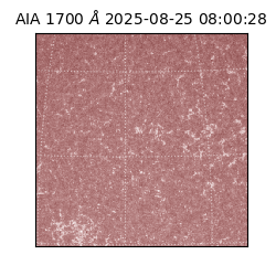 saia - 2025-08-25T08:00:28.719000