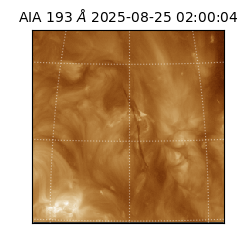 saia - 2025-08-25T02:00:04.843000