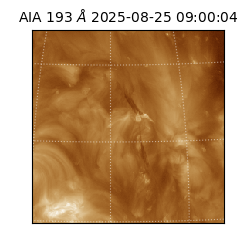 saia - 2025-08-25T09:00:04.846000