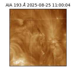 saia - 2025-08-25T11:00:04.843000