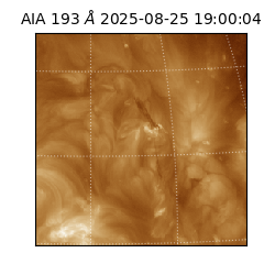 saia - 2025-08-25T19:00:04.843000