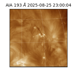 saia - 2025-08-25T23:00:04.843000