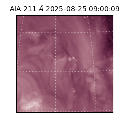 saia - 2025-08-25T09:00:09.630000