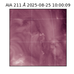 saia - 2025-08-25T10:00:09.626000