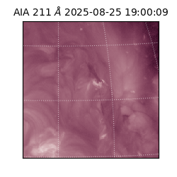 saia - 2025-08-25T19:00:09.630000