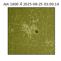 saia - 2025-08-25T03:00:14.126000