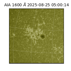 saia - 2025-08-25T05:00:14.126000