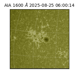 saia - 2025-08-25T06:00:14.126000