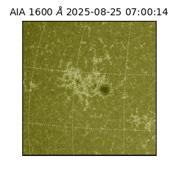 saia - 2025-08-25T07:00:14.125000