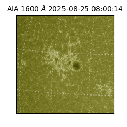 saia - 2025-08-25T08:00:14.125000