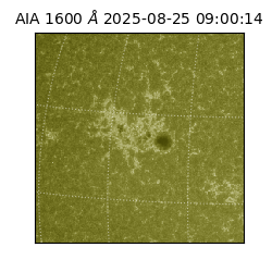 saia - 2025-08-25T09:00:14.126000