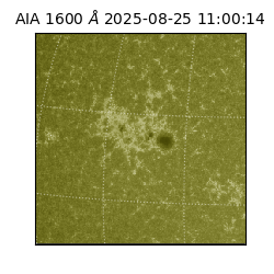 saia - 2025-08-25T11:00:14.125000