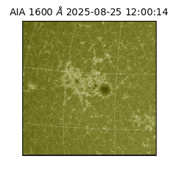 saia - 2025-08-25T12:00:14.126000