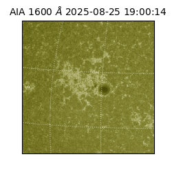 saia - 2025-08-25T19:00:14.126000