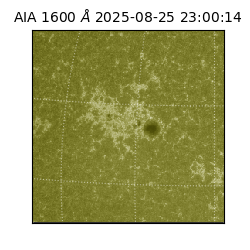 saia - 2025-08-25T23:00:14.126000