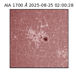 saia - 2025-08-25T02:00:28.720000