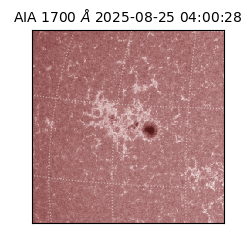 saia - 2025-08-25T04:00:28.720000