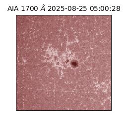 saia - 2025-08-25T05:00:28.721000